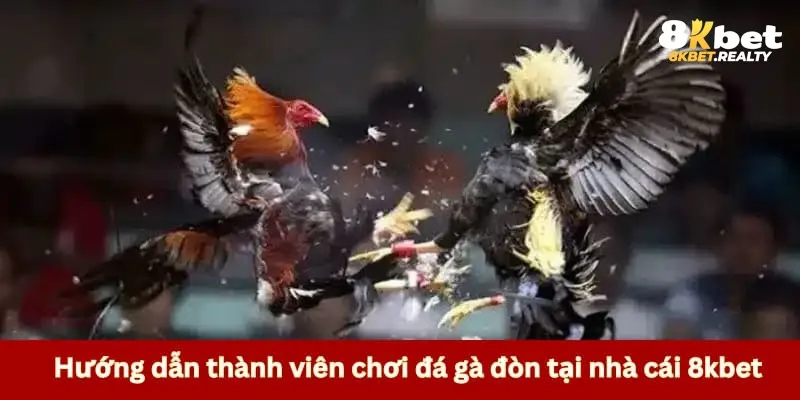 Hướng dẫn chi tiết các bước đá gà đòn cần nắm 