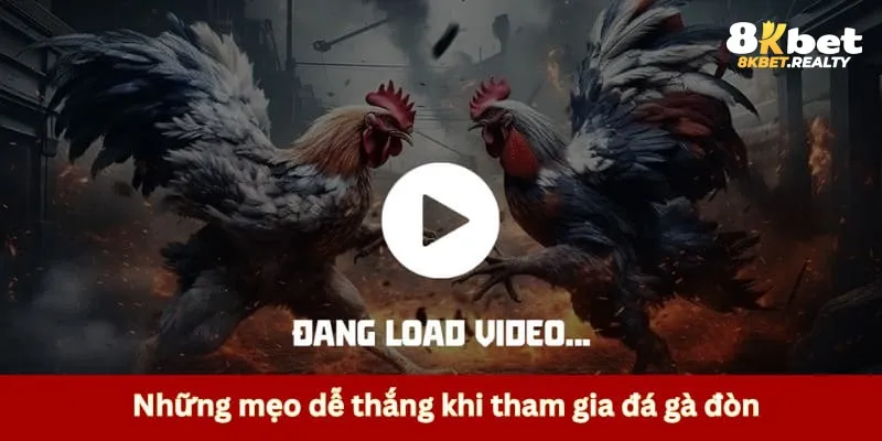 Mẹo chơi hay dễ áp dụng tại nhà cái 8kbet 